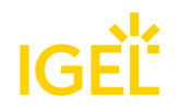 IGEL_logo_yellow